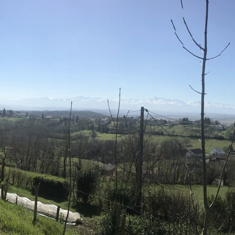 Terrain à vendre CASTELVIEILH