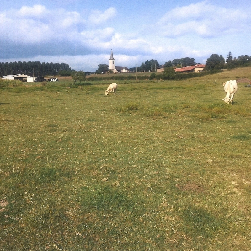 Terrain en vente sur la Commune de Clarac