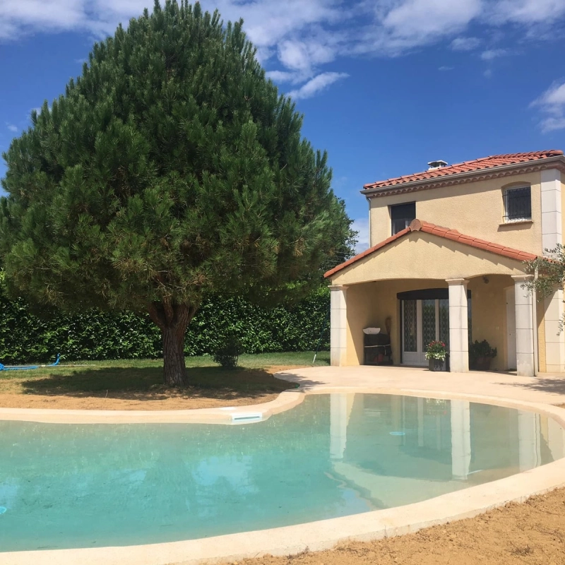 Quand un pin parasol façonne NATURASWIM