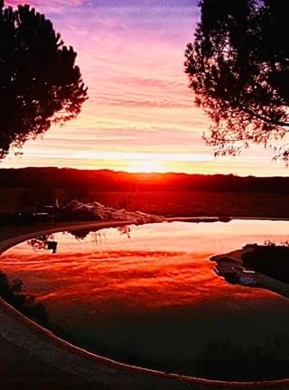 NATURASWIM au lever du soleil