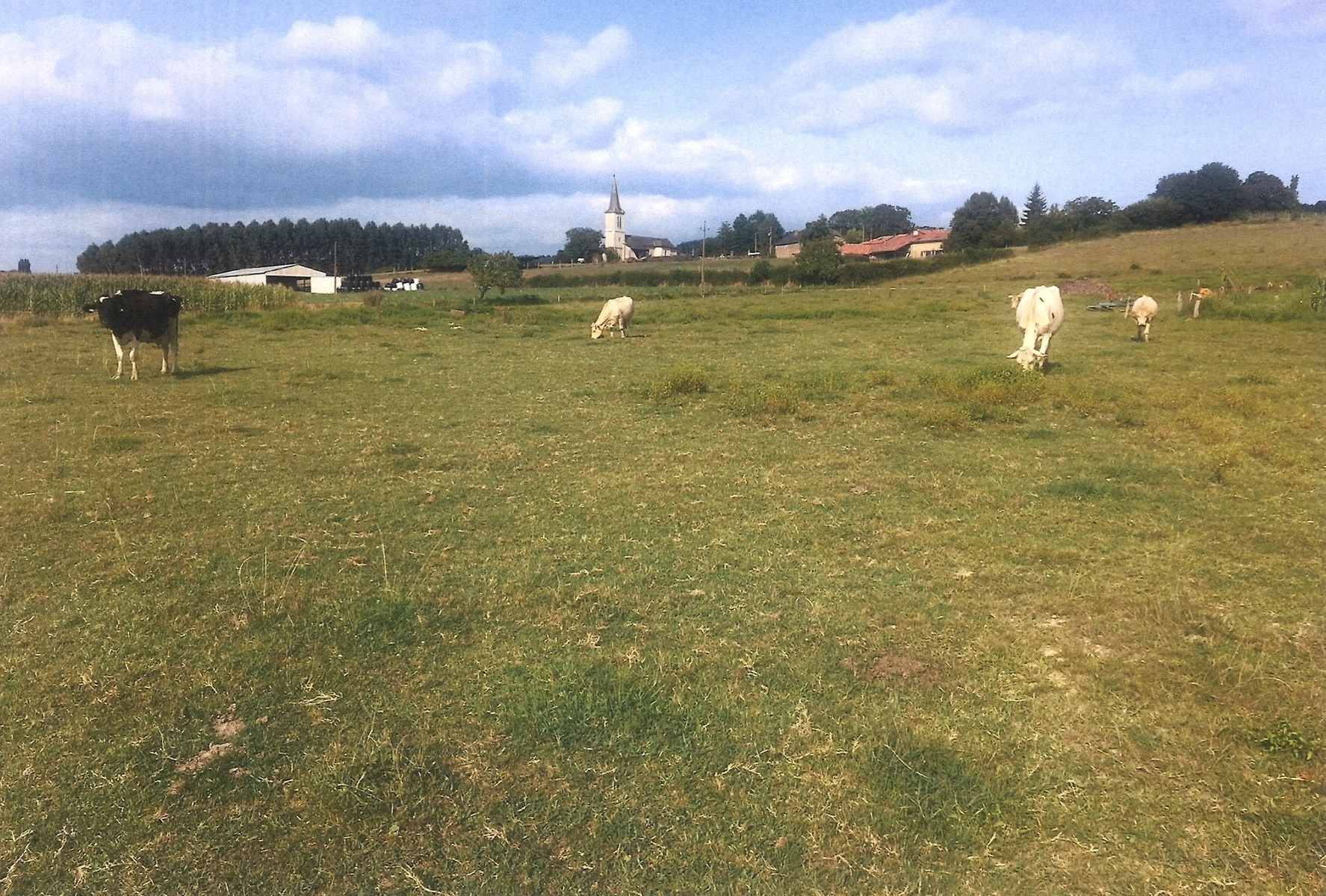 Terrain en vente sur la Commune de Clarac