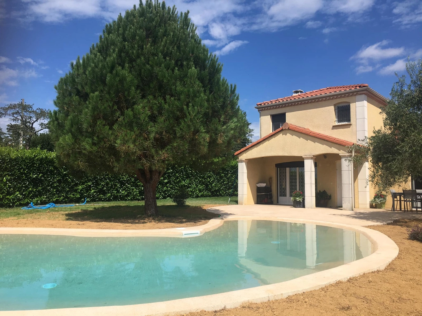 Quand un pin parasol façonne NATURASWIM