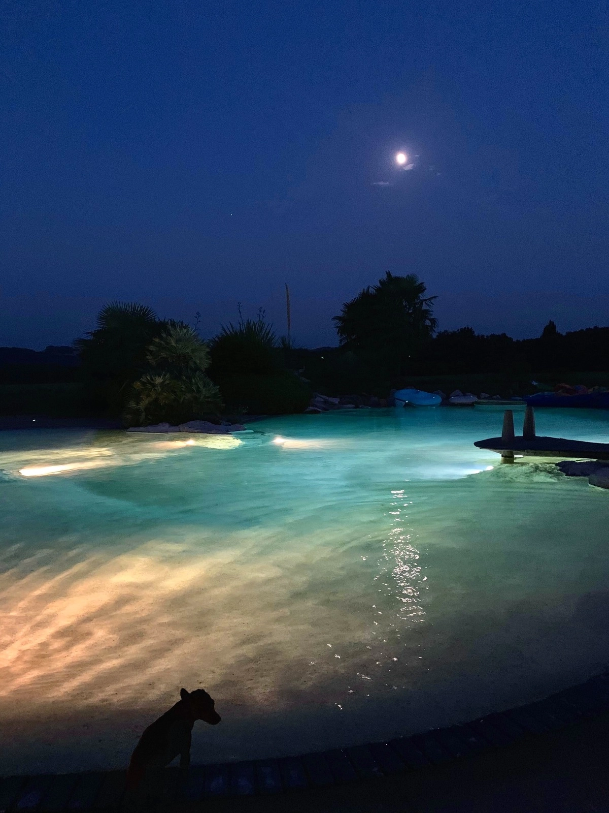 NATURASWIM By night, juste pour le plaisir des yeux