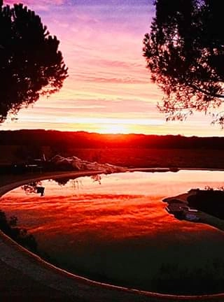 NATURASWIM au lever du soleil