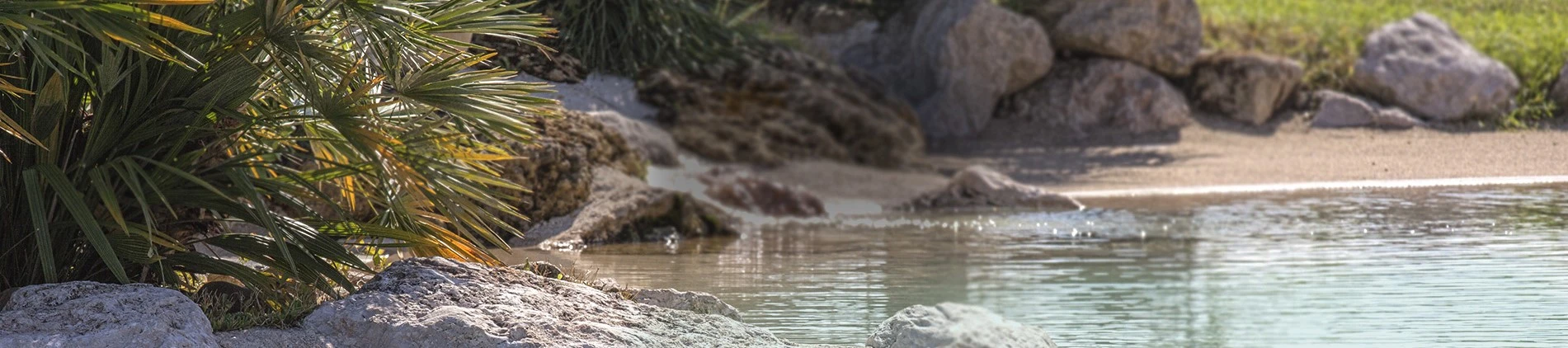La Nouvelle République des Pyrénées